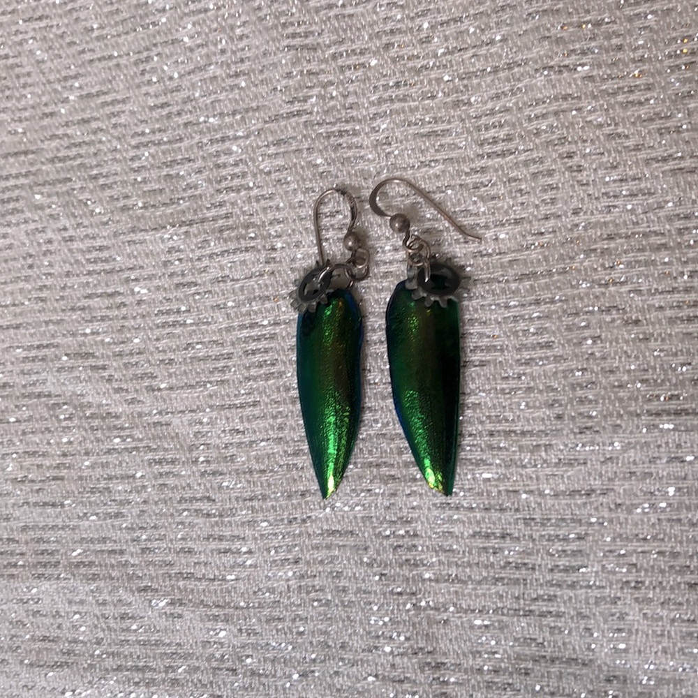 Beetle Wing Earrings with Gears ⚙️